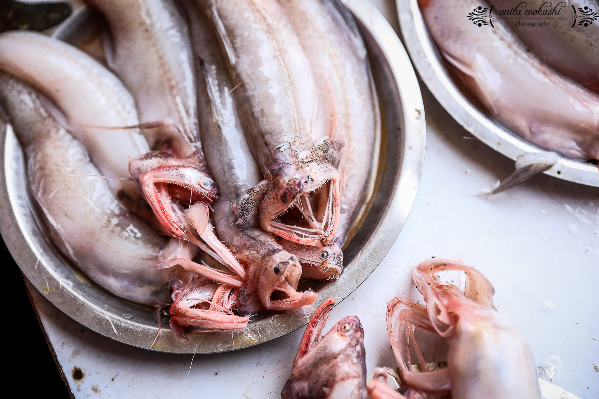 Mumb Fish Mumbai Fish Market – Crave Cook Click