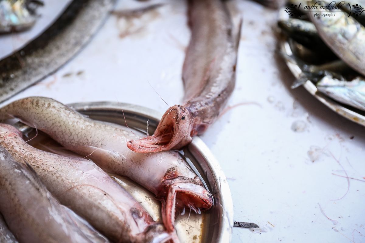 Mumb Fish Mumbai Fish Market – Crave Cook Click
