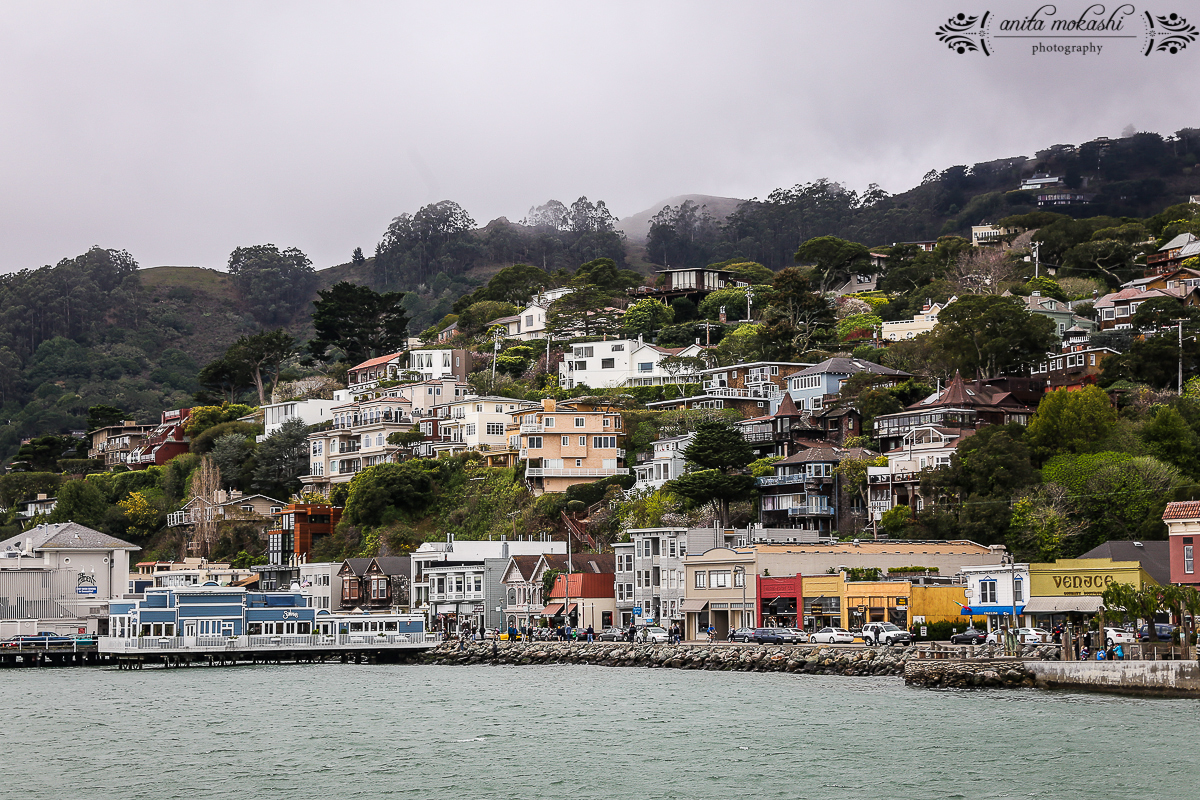 Copita Restaurant Review, Sausalito & Cinco De Mayo