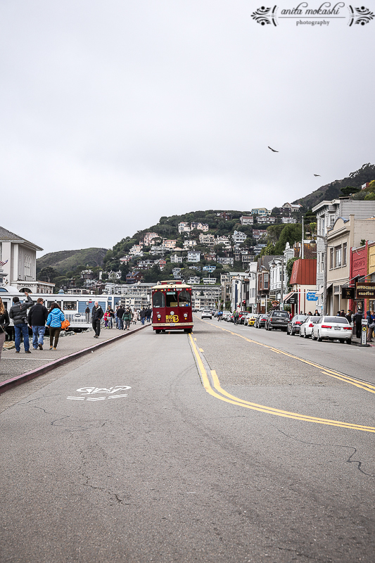 Copita Restaurant Review, Sausalito & Cinco De Mayo