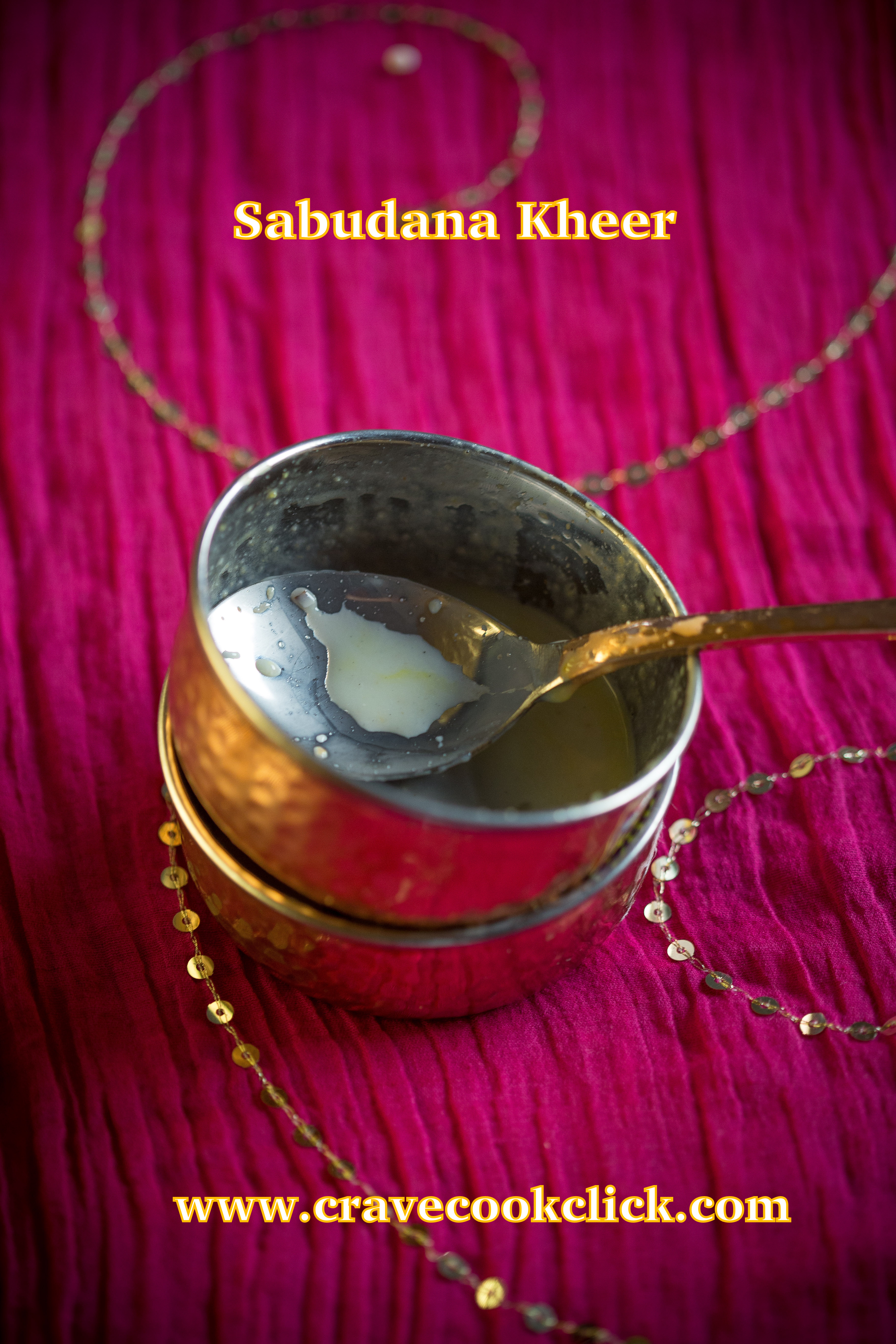 Sabudana Kheer-Ashadhi Ekadashi Special Recipe, How to make sago kheer, Fasting Recipes