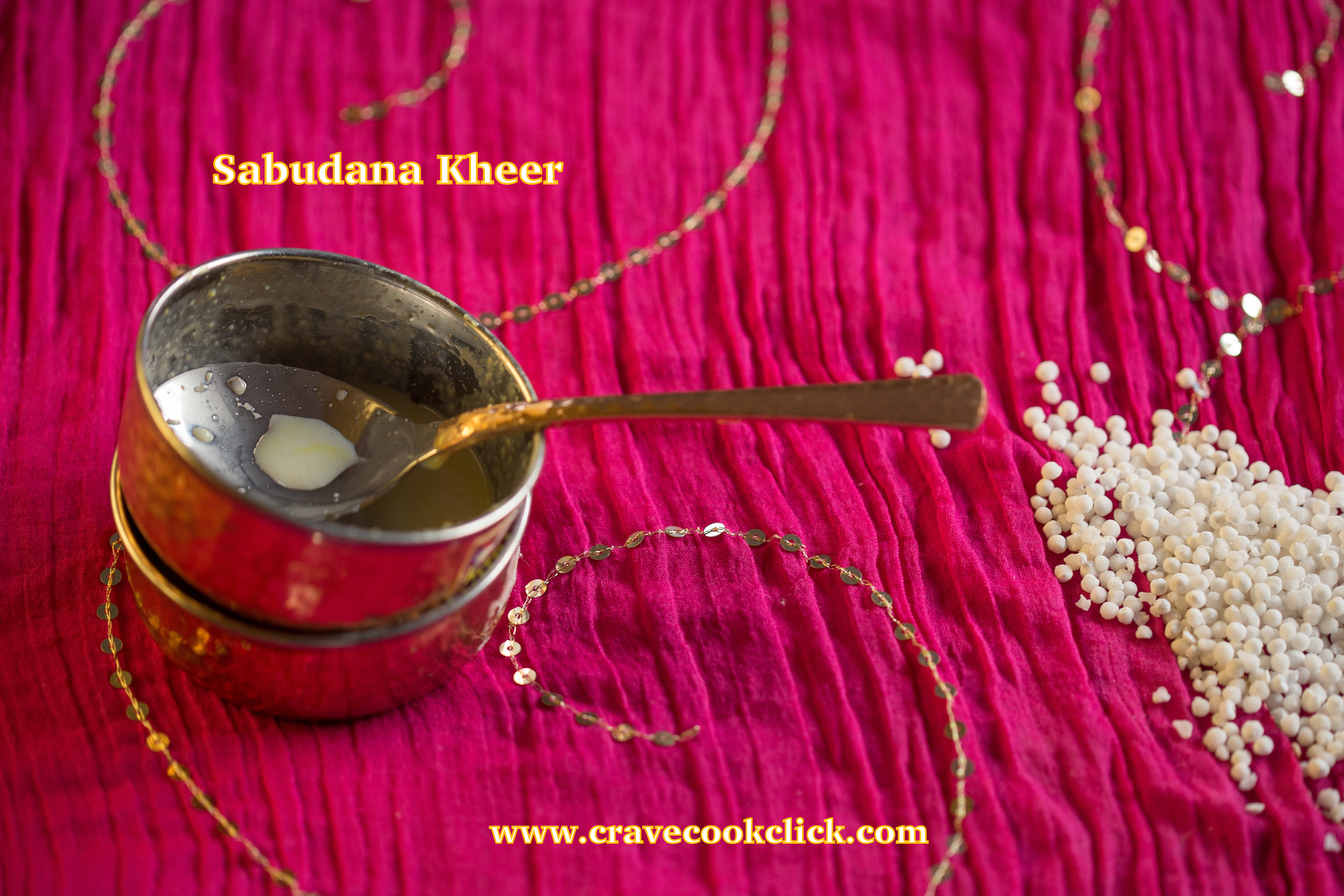 Sabudana Kheer-Ashadhi Ekadashi Special Recipe, How to make sago kheer, Fasting Recipes