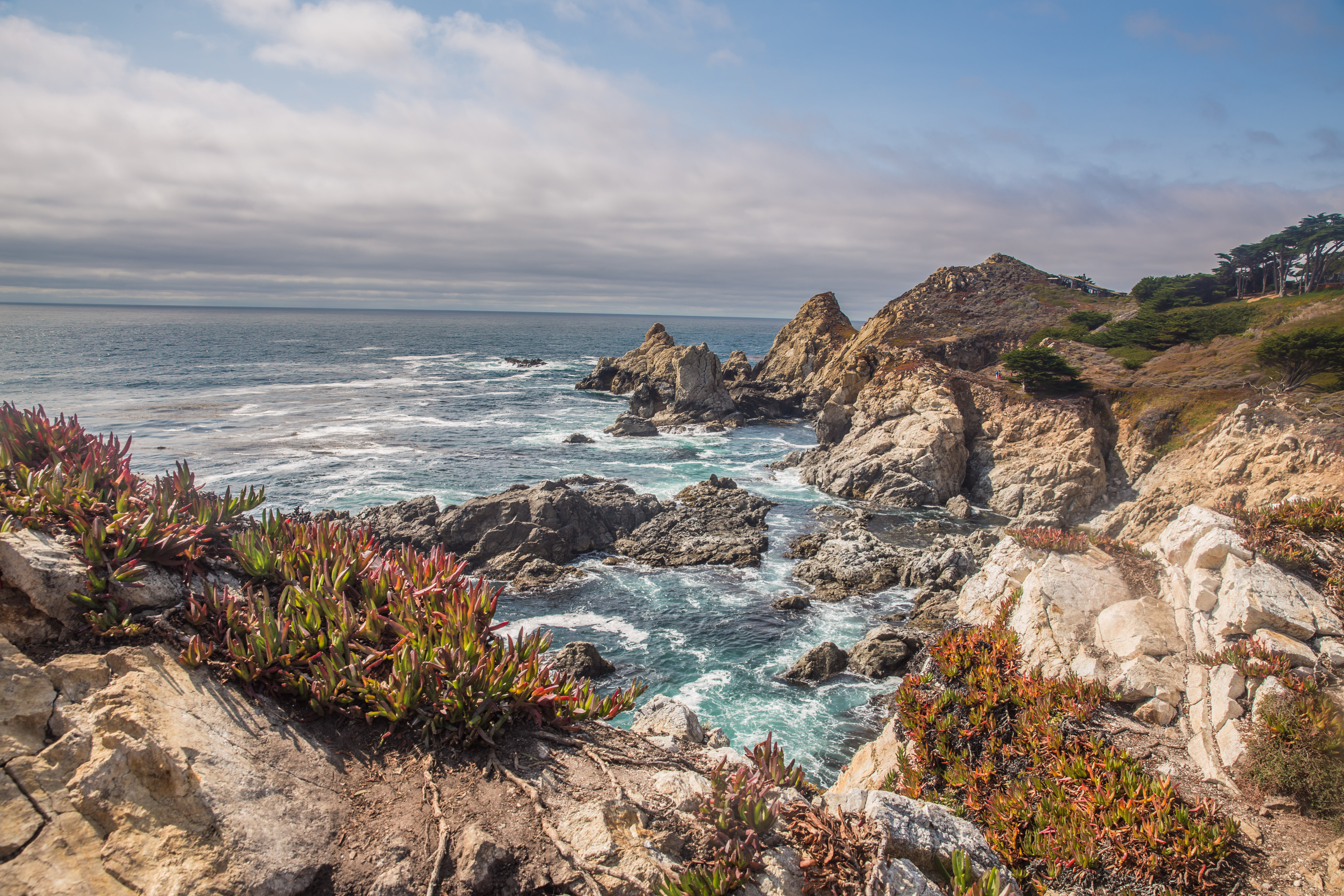 Beautiful Big Sur