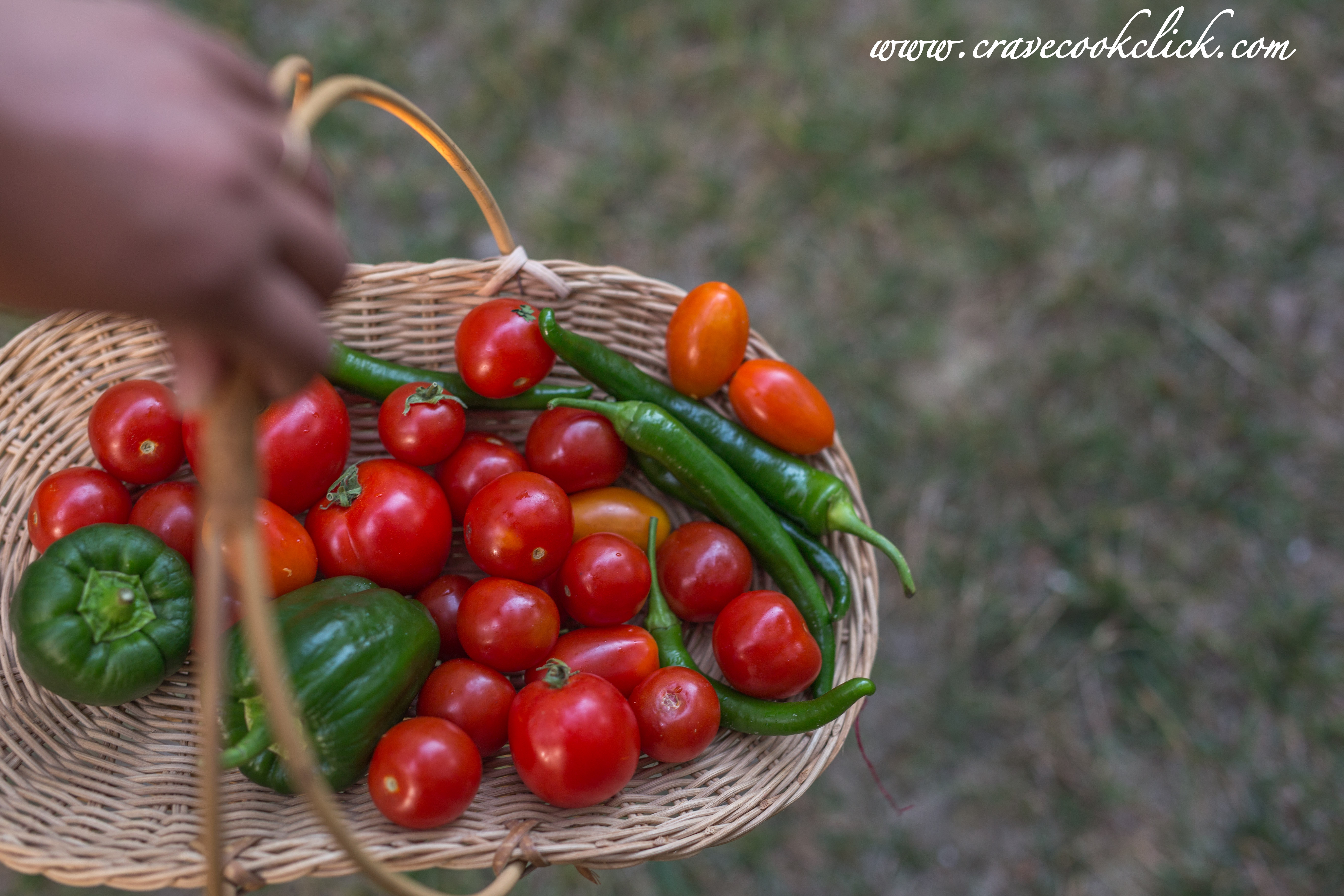 tomato rice recipe, how to make tomato rice, thakkali sadam recipe